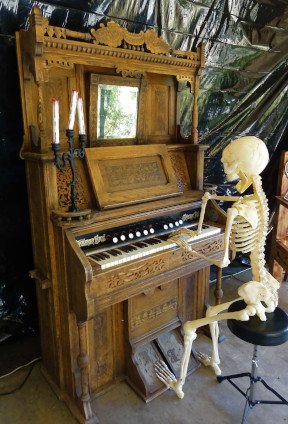 skeleton playing pump organ